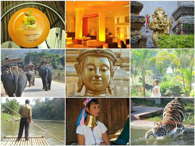 Chiang Mai Collage_w